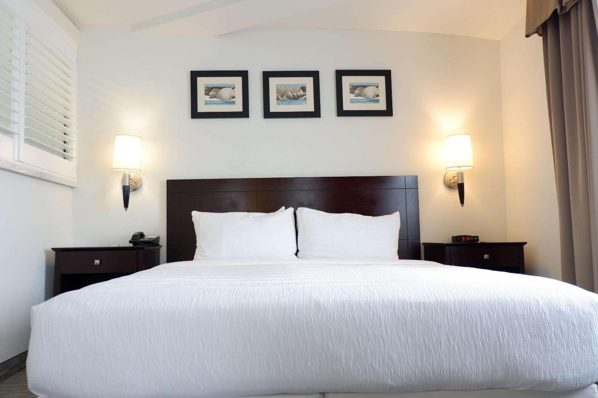 Hotel The Volare, Ascend Collection